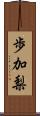 歩加梨 Scroll