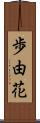歩由花 Scroll