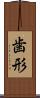 歯形 Scroll