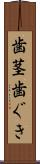 歯茎 Scroll