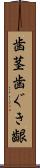 歯茎 Scroll