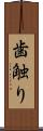 歯触り Scroll
