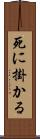 死に掛かる Scroll