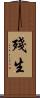 殘生 Scroll