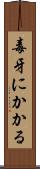 毒牙にかかる Scroll