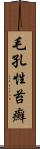 毛孔性苔癬 Scroll