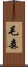 毛森 Scroll