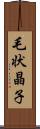 毛状晶子 Scroll