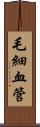 毛細血管 Scroll