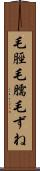 毛脛 Scroll