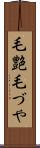 毛艶 Scroll