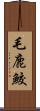毛鹿鮫 Scroll