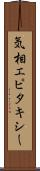 気相エピタキシー Scroll