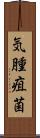 気腫疽菌 Scroll