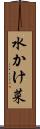 水かけ菜 Scroll