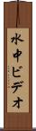 水中ビデオ Scroll