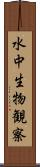 水中生物観察 Scroll