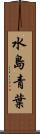 水島青葉 Scroll