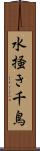水掻き千鳥 Scroll