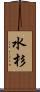 水杉 Scroll