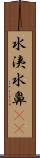 水洟;水鼻(iK) Scroll