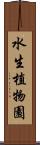 水生植物園 Scroll