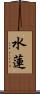 水蓮 Scroll