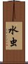 水虫 Scroll
