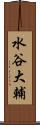 水谷大輔 Scroll
