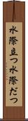 水際立つ Scroll