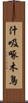 汁吸啄木鳥 Scroll