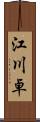 江川卓 Scroll