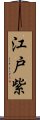 江戸紫 Scroll