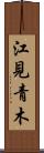 江見青木 Scroll