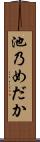 池乃めだか Scroll