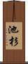 池杉 Scroll