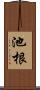 池根 Scroll