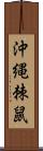 沖縄棘鼠 Scroll