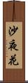 沙夜花 Scroll