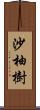 沙柚樹 Scroll