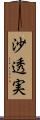 沙透実 Scroll