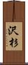 沢杉 Scroll