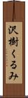 沢樹くるみ Scroll