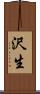 沢生 Scroll