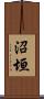 沼垣 Scroll