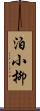 泊小柳 Scroll