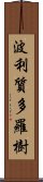 波利質多羅樹 Scroll