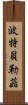 波特貝勒菇 Scroll