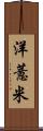 洋薏米 Scroll