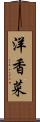 洋香菜 Scroll